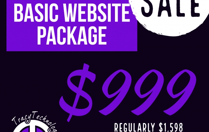 Basic WordPress Website Packages starting at $999!